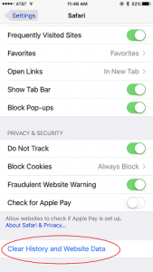 How to Delete Browsing History On Your iPhone