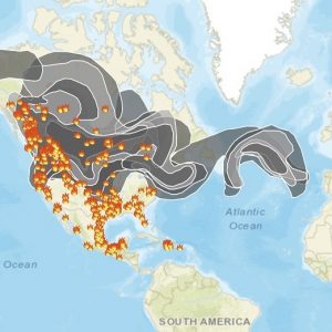 Screenshot from AirNow.Gov captured on 2018-08-17. It shows wildfire incidents in North America and the Caribbean as well as the smoke paths generated by those wildfires. The shape of the smoke stretches from Alaska almost to Spain, and is in the shape of a scary monster with an open mouth. I call this "The Smoke Monster".
